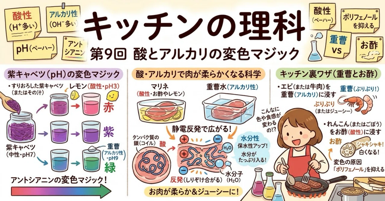 Acid and Alkali Color-Changing Magic | Purple Cabbage and Meat ...