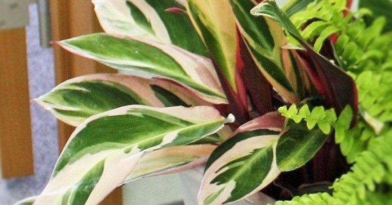 353284414de82e30171530050eca10