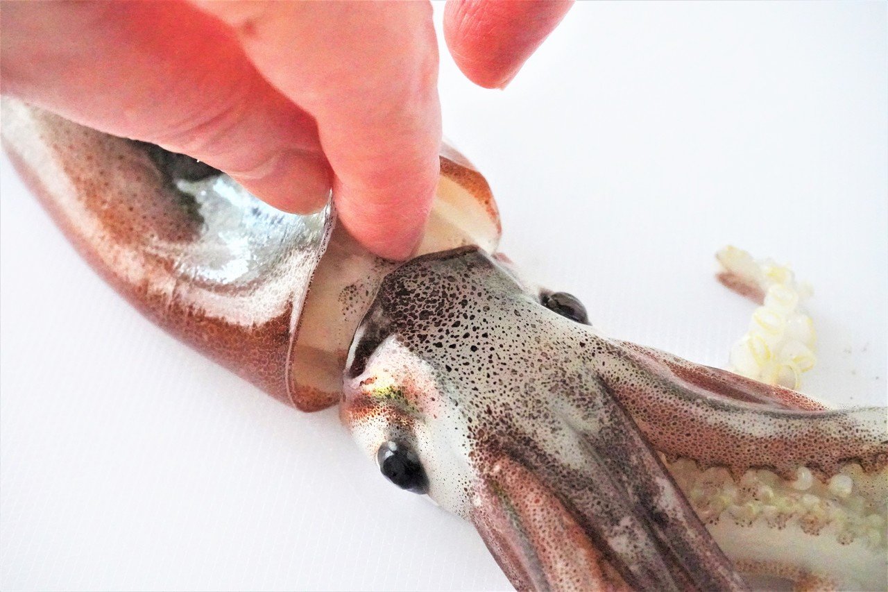 食材の下処理 いか 食の工房オフィスアルベロ イタリア料理教室 In 神戸 Note