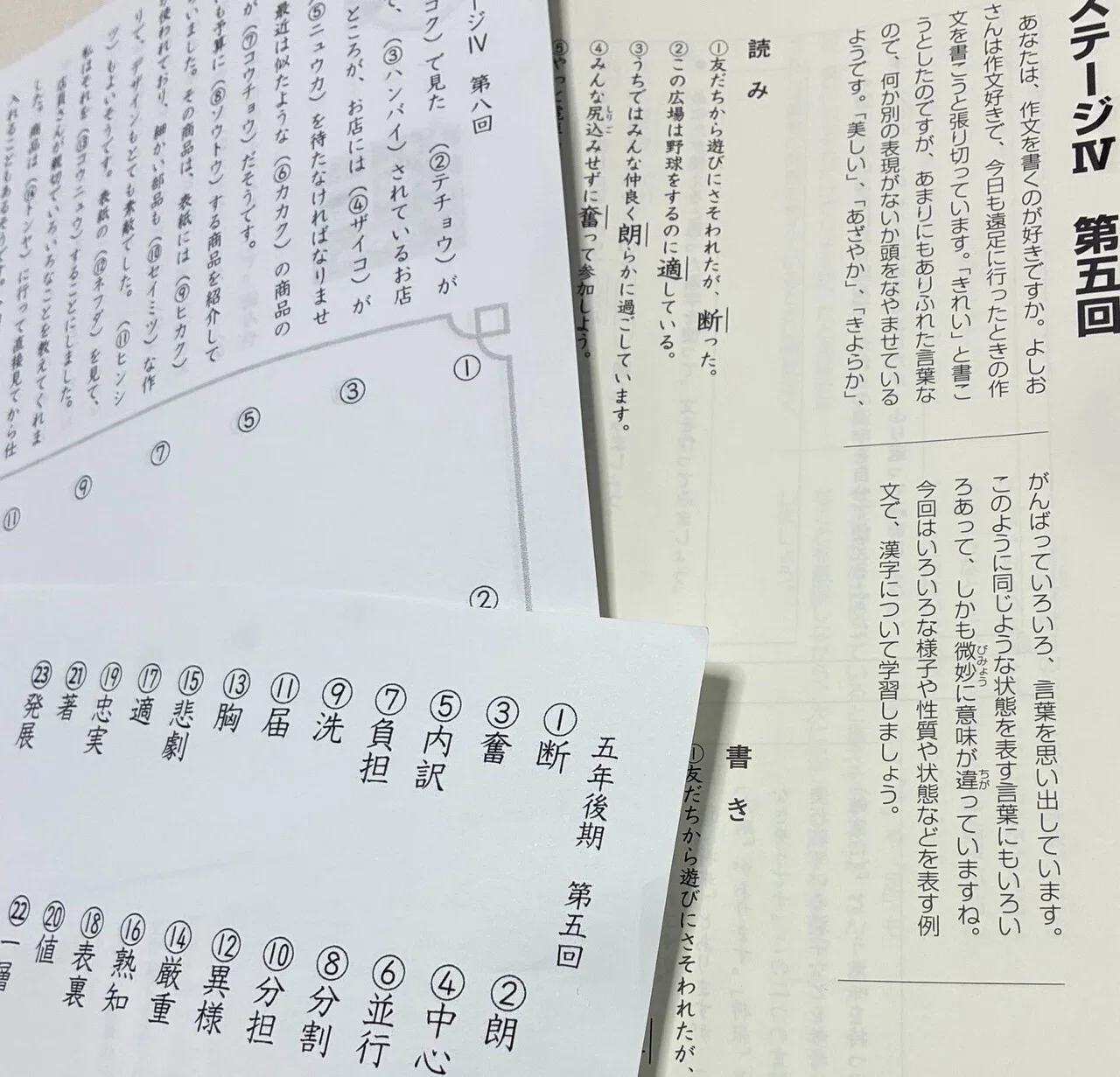 日能研5年】育成テスト対策にどうぞ【漢字プリント】｜すみちゃん
