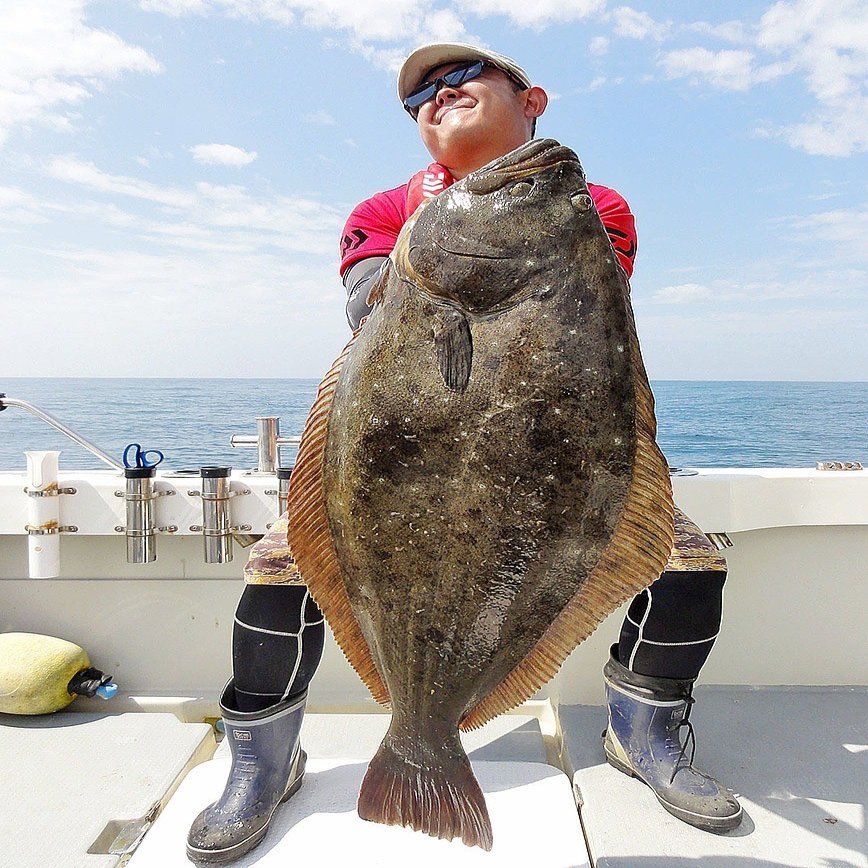 スロージギング 実釣編 キター １０５センチのヒラメ 水面に姿見せた巨大魚 石巻days 石巻日日新聞社公式 Note