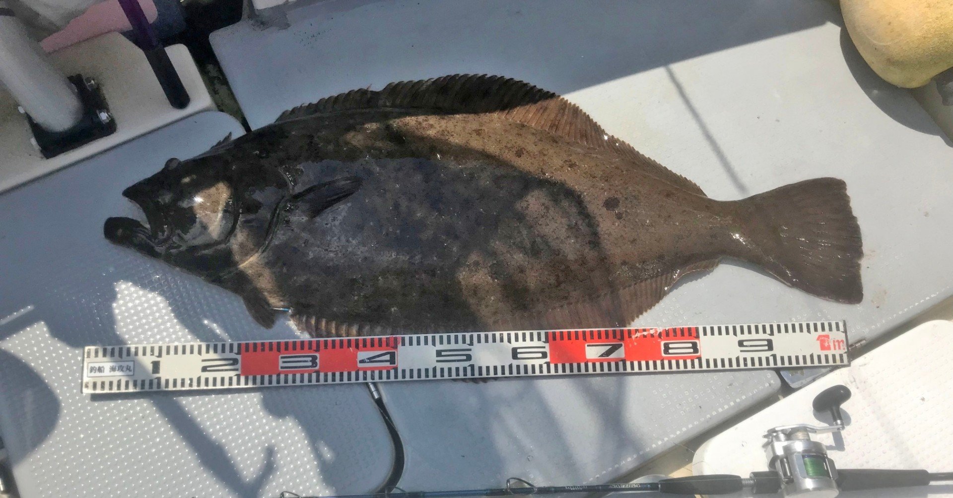 スロージギング 実釣編 キター 105センチのヒラメ 水面に姿見せた巨大魚 石巻days 石巻日日新聞社公式 Note スロージギング 実釣編 キター 105センチのヒラメ 水面に姿見せた巨大魚 石巻days 石巻日日新聞社公式 Note