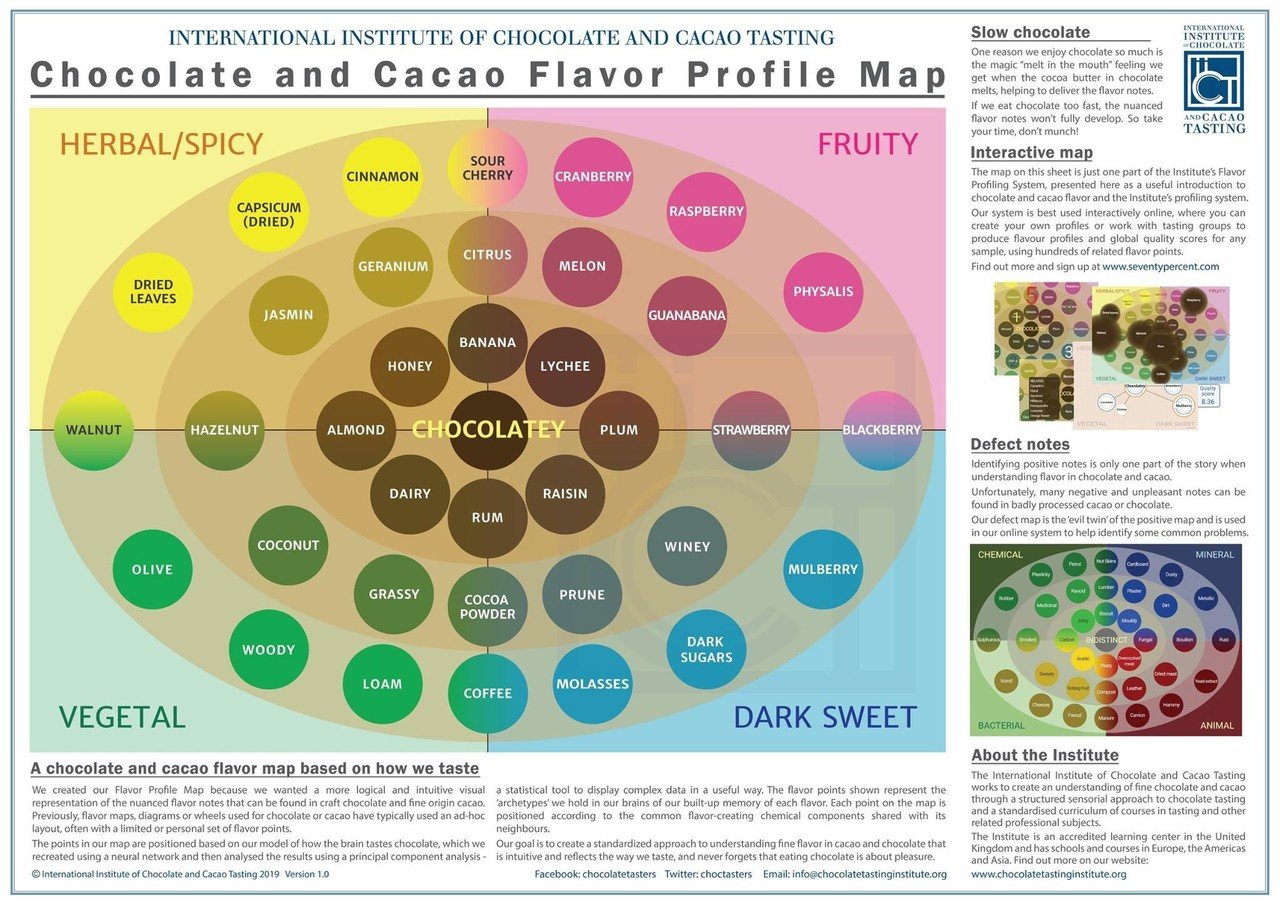 チョコレート フレーバーホイール FRUITY｜Tomoesaveur さつたに