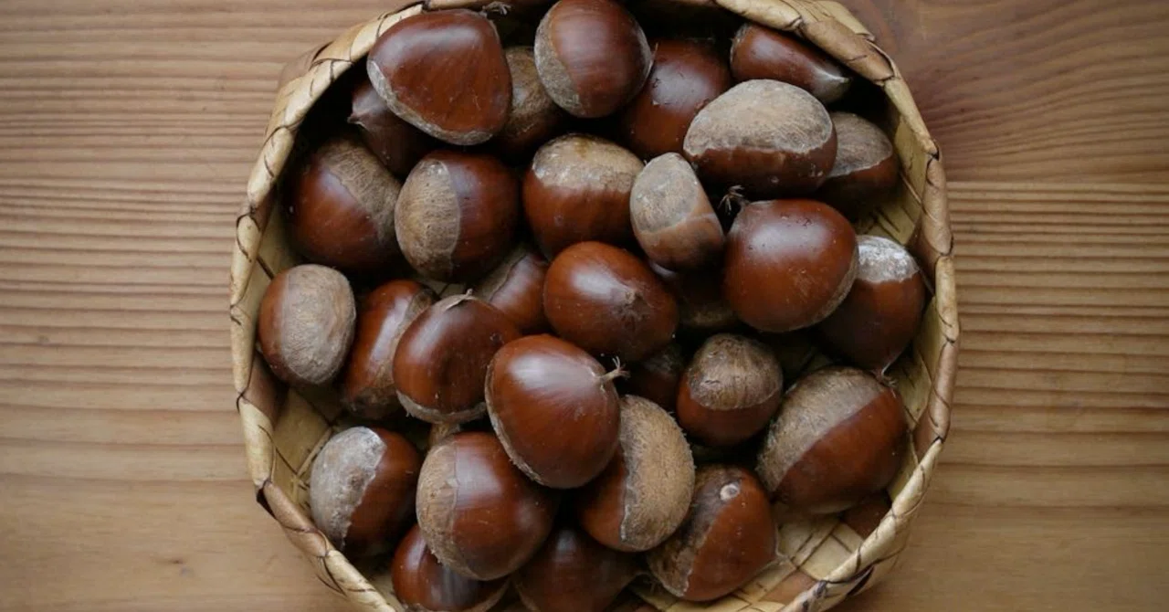 Things to keep in mind for autumn dietary care, and medicinal wisdom to ...