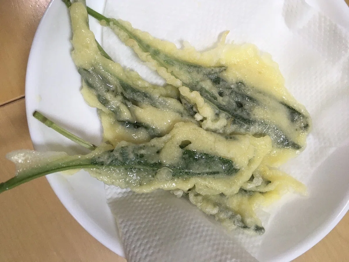 セージフリッター