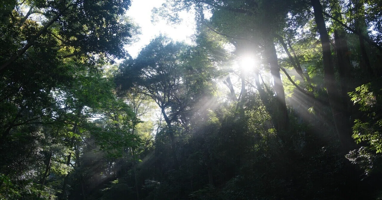Even when walking the same valley, the scenery we see is different｜まなと ...