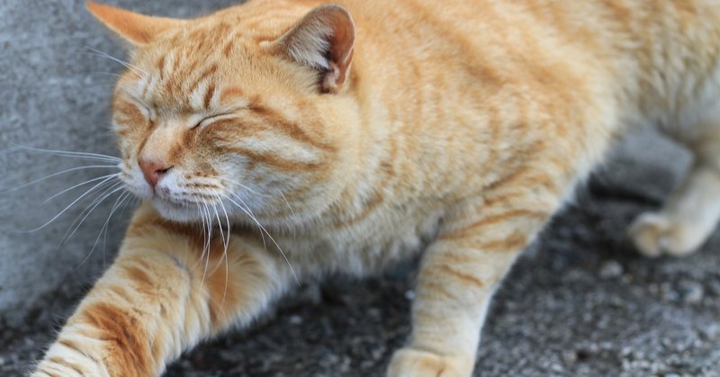 知らず知らずに、生きやすいように生きていた！ぼくの長所の話。