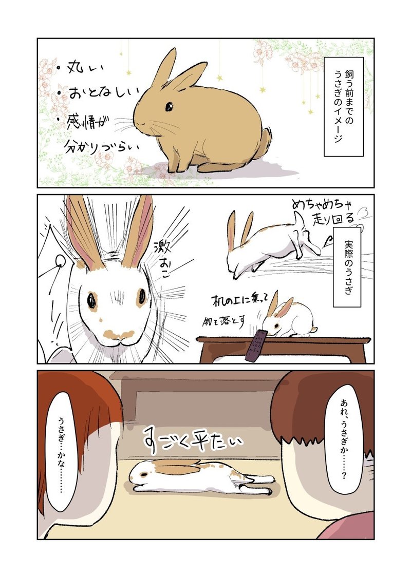 うさぎってこんなだったっけ 観葉植物 Note