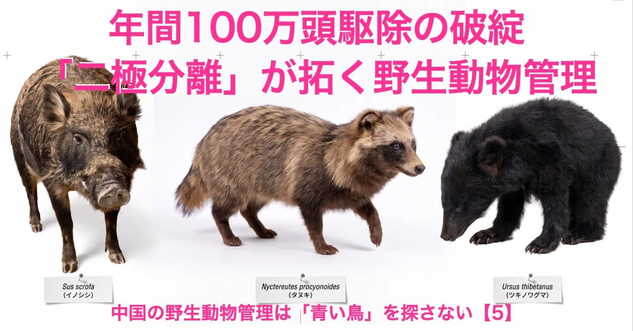 The Failure of Culling 1 Million Animals Annually: Wildlife Management ...
