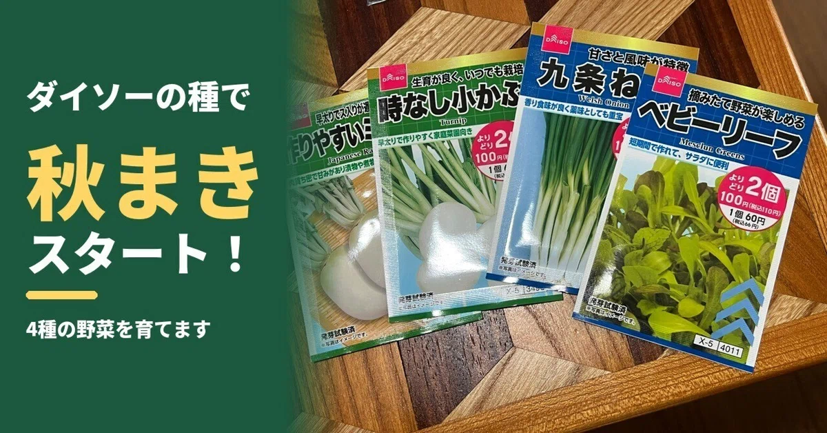 [One-Armed Home Gardening Diary] Autumn Sowing Starts! Coloring My Home ...