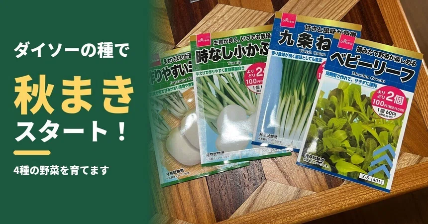 [One-Armed Home Gardening Diary] Autumn Sowing Starts! Coloring My Home ...