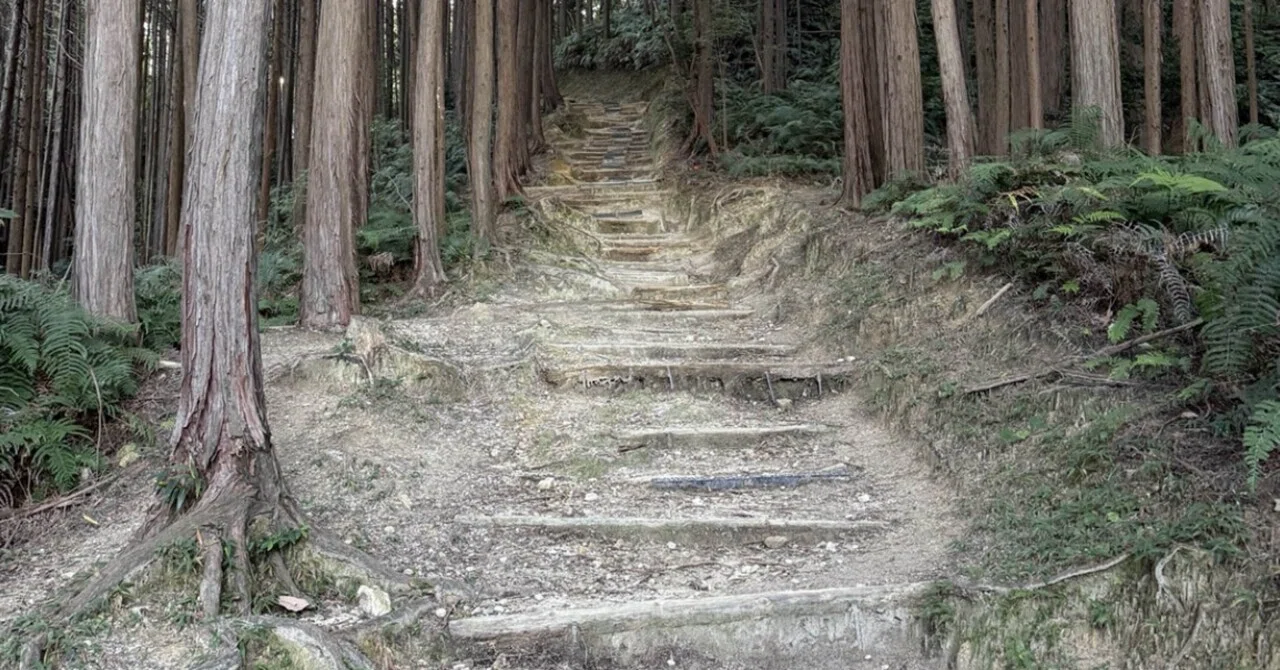 The stairs have a bad personality. | Life, via scenery｜田中耕
