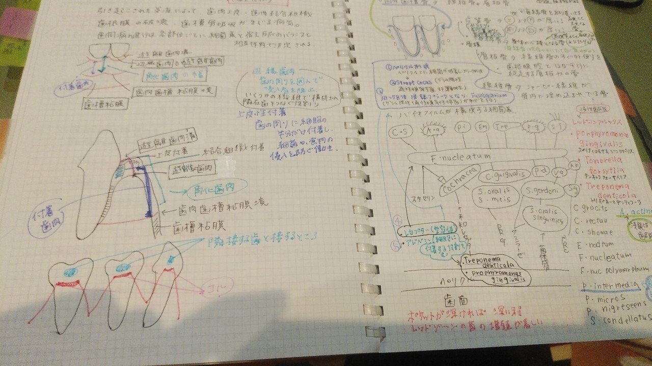 認定歯科衛生士目指している人からの質問 二井 愛子 歯科衛生士 Note