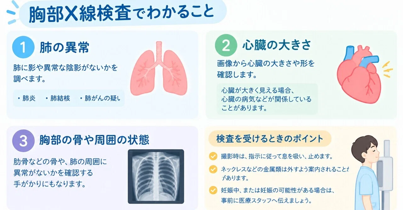 What can be learned from a chest X-ray? An explanation of the X-ray ...