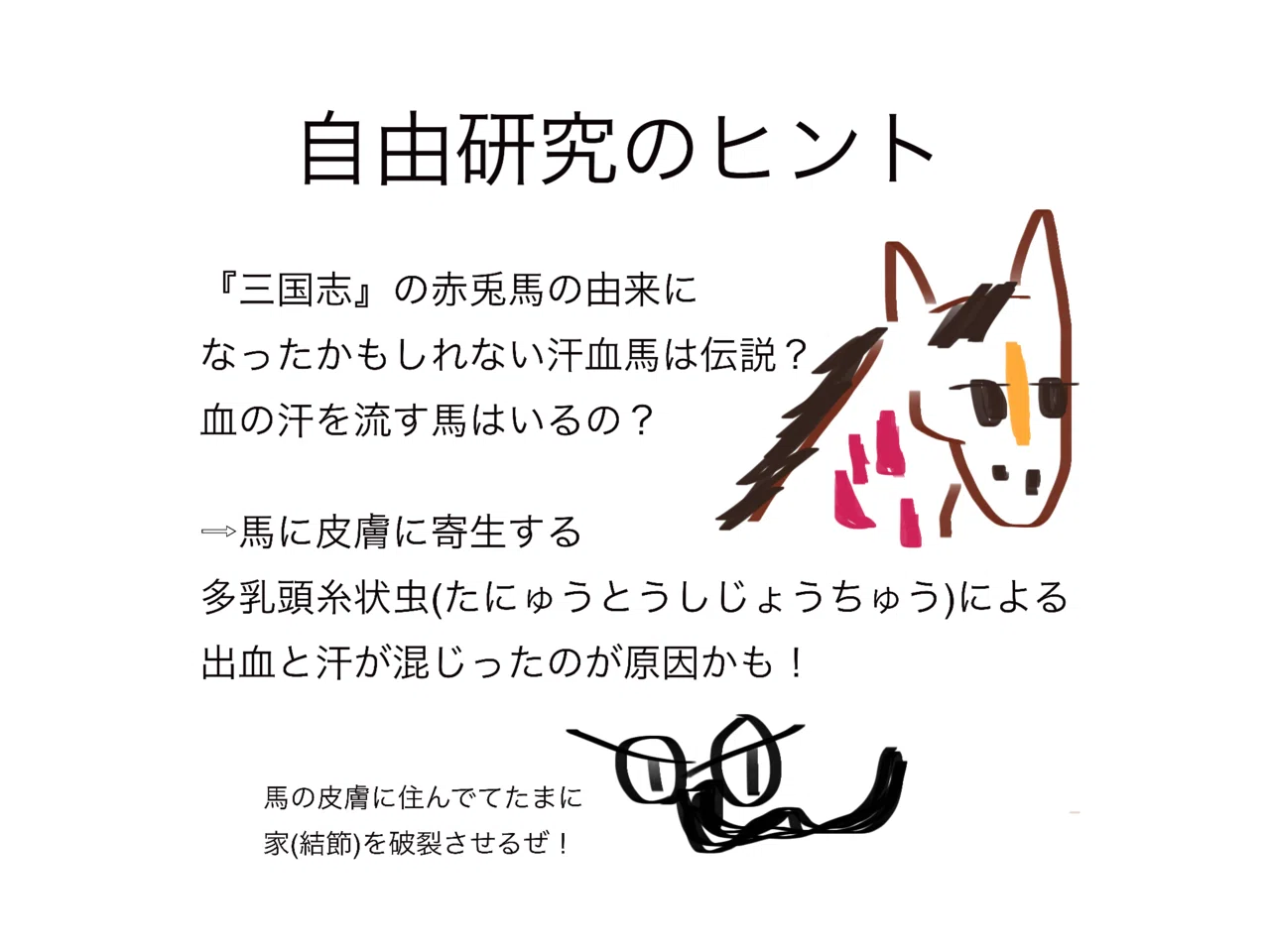 公の場での発言・インタビュー報道記録