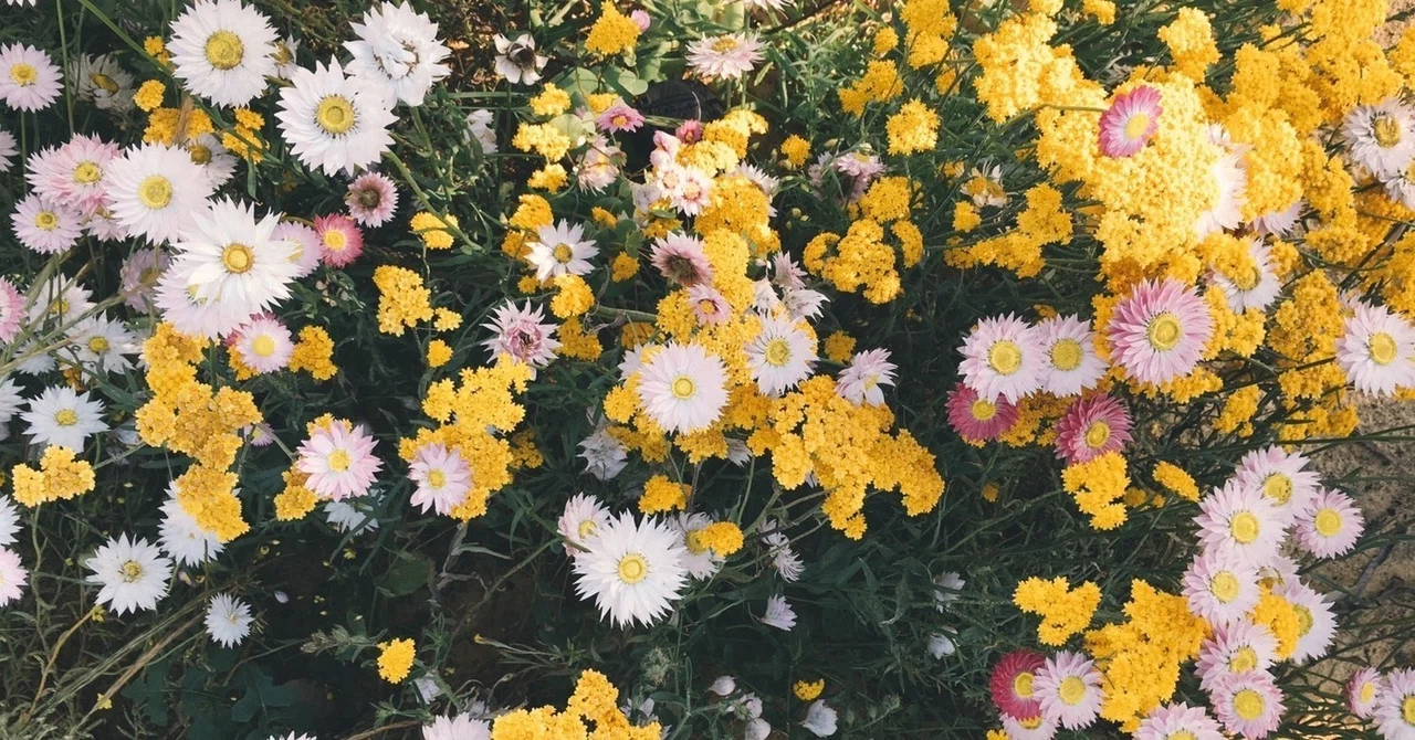 Moments when I honestly feel that being a caregiver is tough.｜試される大地の介護士