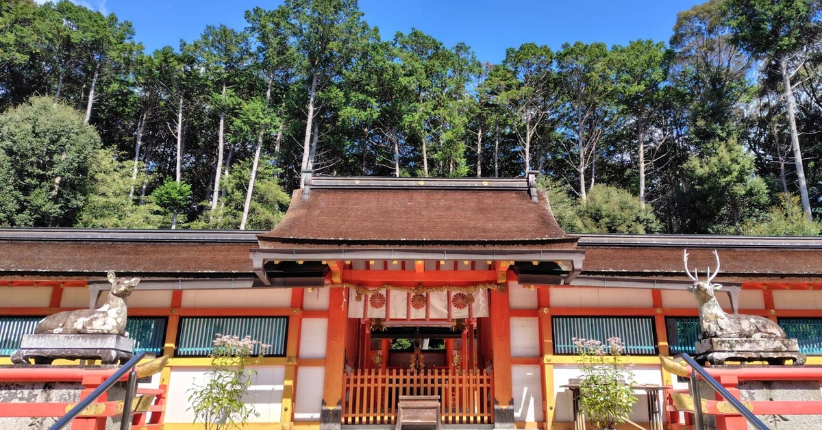 Strolling Note: Oharano Shrine in Bloom with Eupatorium｜唐崎夜雨