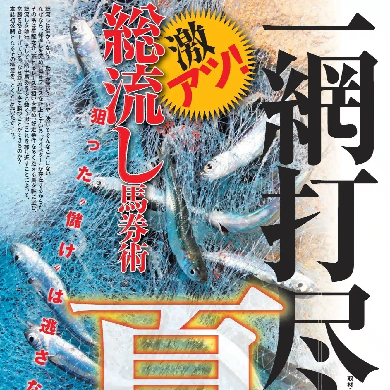 星龍之介