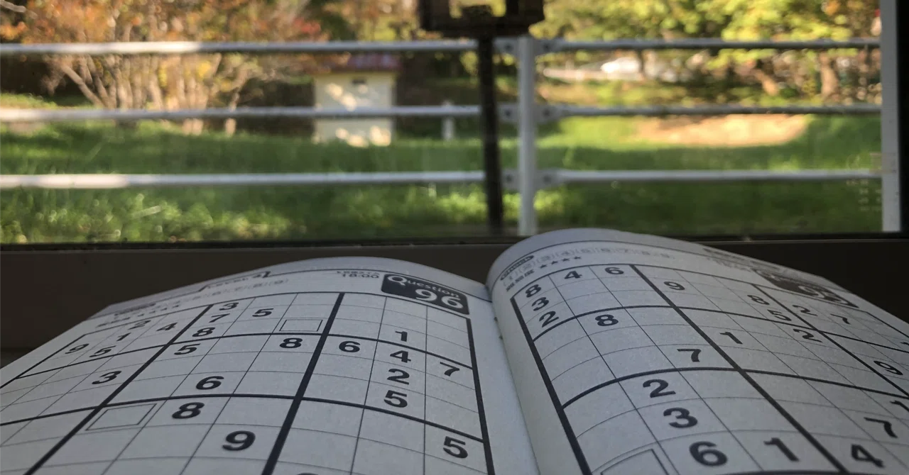 Why a Sudoku-solving program looks smart: Recursion, backtracking, and ...