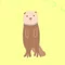 らるらるのラッコちゃん