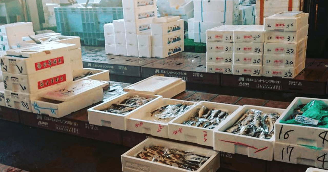 新潟 佐渡沖のヒゲソリダイ 魚が来る 明日 新潟から 鮮魚通販 Note