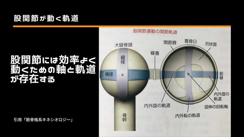 股関節は鍛えてほぐす サッカー選手 向けフィジカルサポートnote 石橋 哲平 Note 股関節は鍛えてほぐす サッカー選手 向けフィジカルサポートnote 石橋 哲平 Note