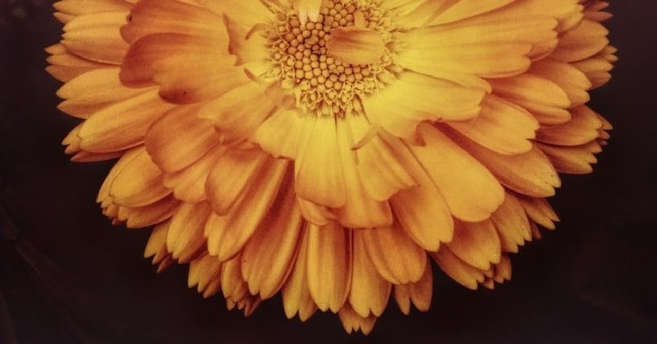 私には 話せる相手がいない 藤井 note