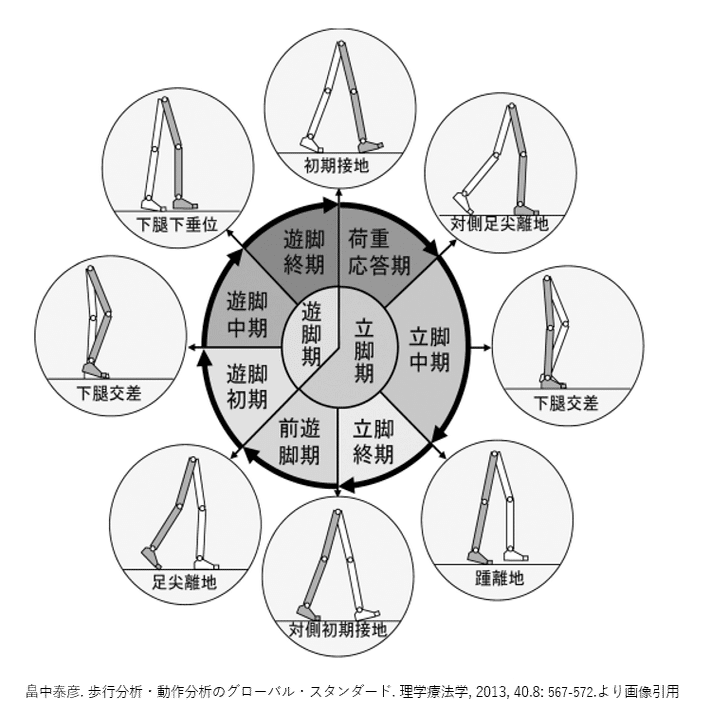 歩行分析の教科書』｜理学療法士による臨床のためのnote