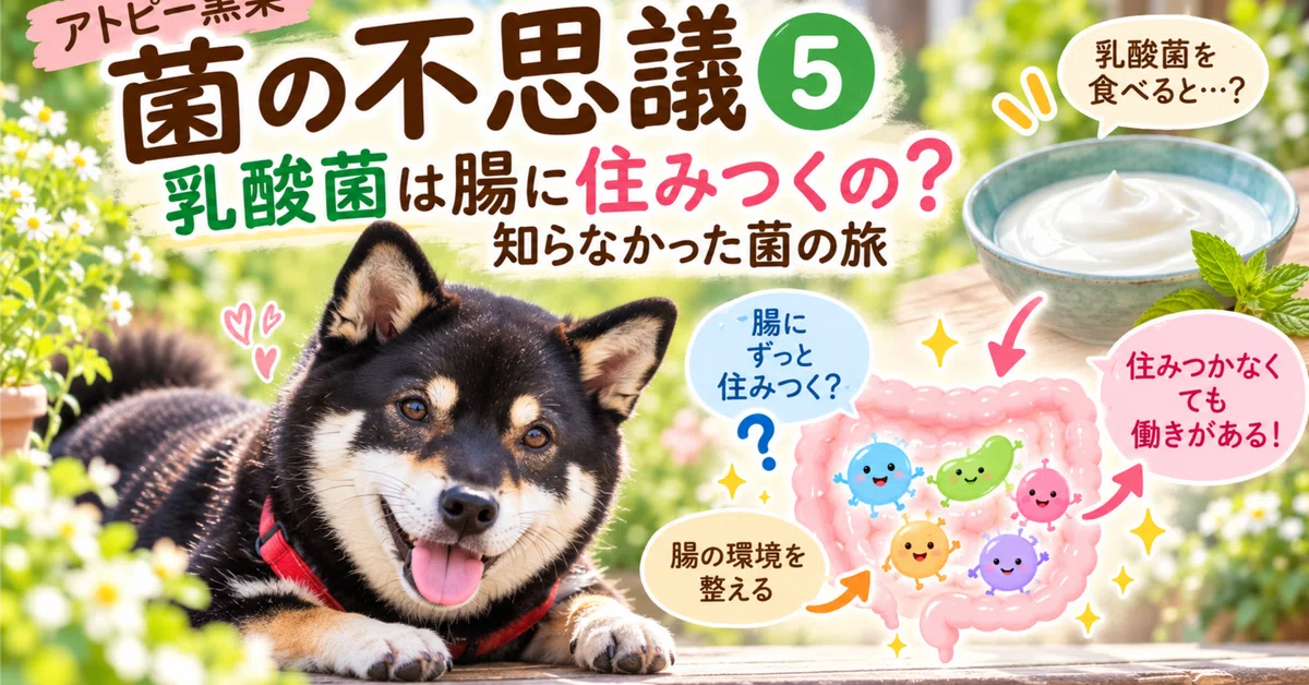 Atopic Black Shiba | The Mystery of Bacteria 5: Do Lactic Acid Bacteria ...