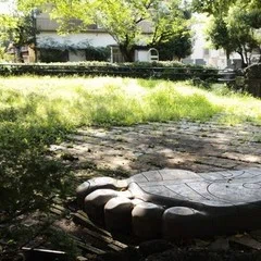 イノベーション経営時代のナレッジマネジメント再構築｜紺野 登