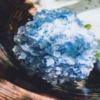 お笑い を食わず嫌いしていた自分がyoutubeでラーメンズのコントをひたすら観るようになってしまった話 広瀬 ひとり Note お笑い を食わず嫌いしていた自分がyoutubeでラーメンズのコントをひたすら観るようになってしまった話 広瀬 ひとり Note