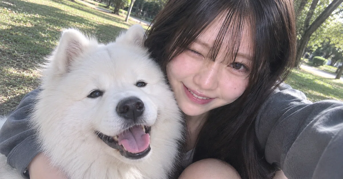 Samoyed Types Episode 11 | I've been healed by fluffiness♡|みづ