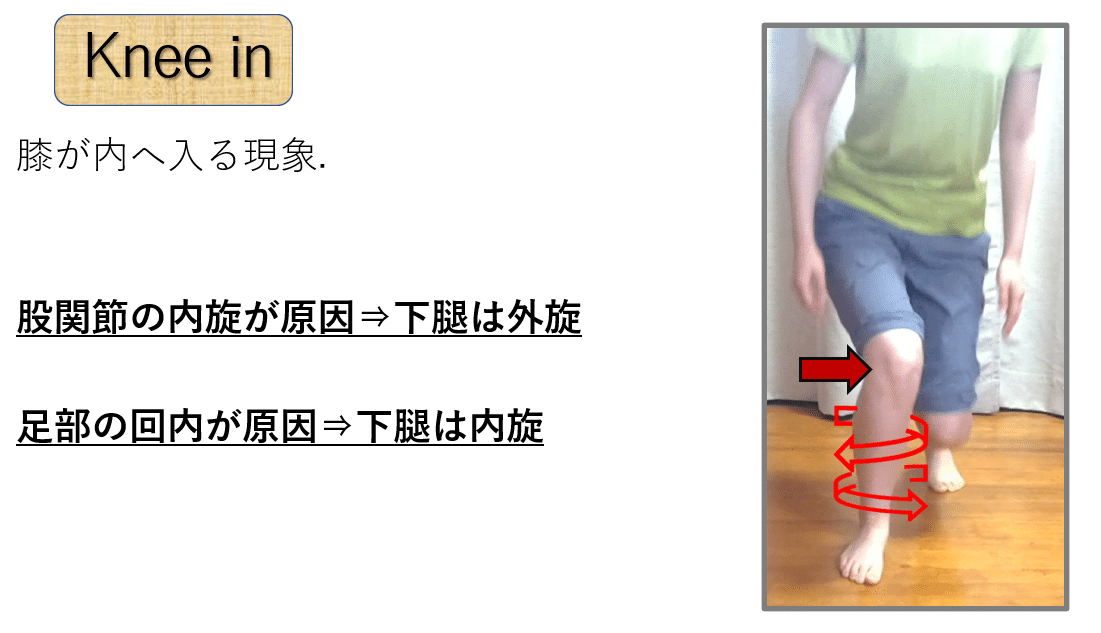 膝関節 第10 《変形性膝関節症 前編》｜上田浩司（理学療法士）