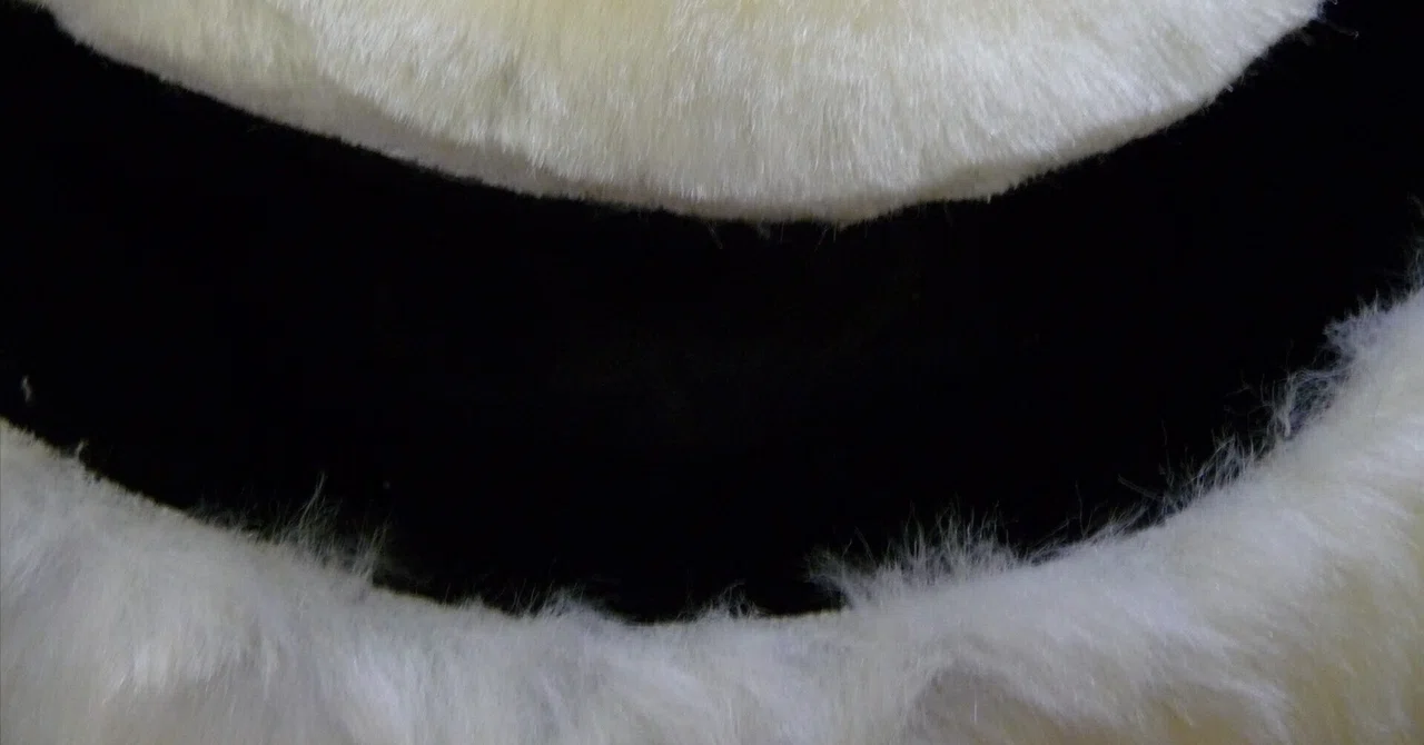 The Road to Mascot Suit Life 19 | Endless Rock-Paper-Scissors｜despacito2019