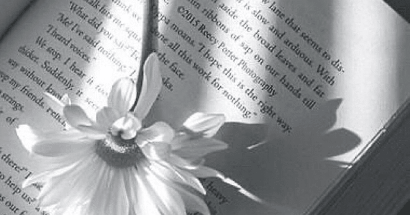 ファミリー向けだけど大きなテーマが見え隠れする映画 ri maの気ままな映画日和 note