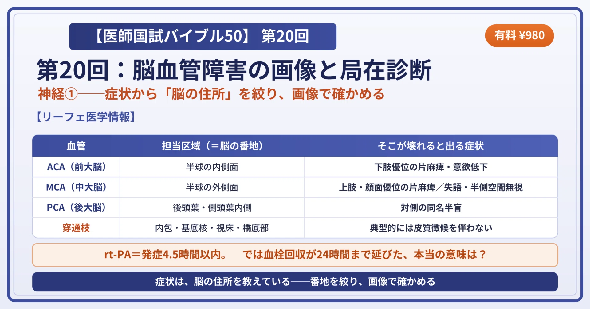 脳血管障害を「脳の住所録」で解く！ 【医師国試バイブル50】第20回