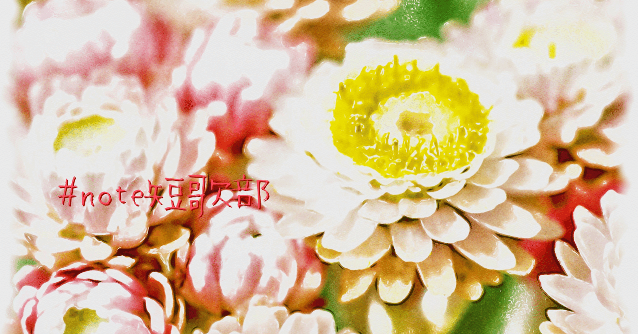 短歌 8月14日 誕生花は貝細工 Note短歌部 御子柴 流歌 Note