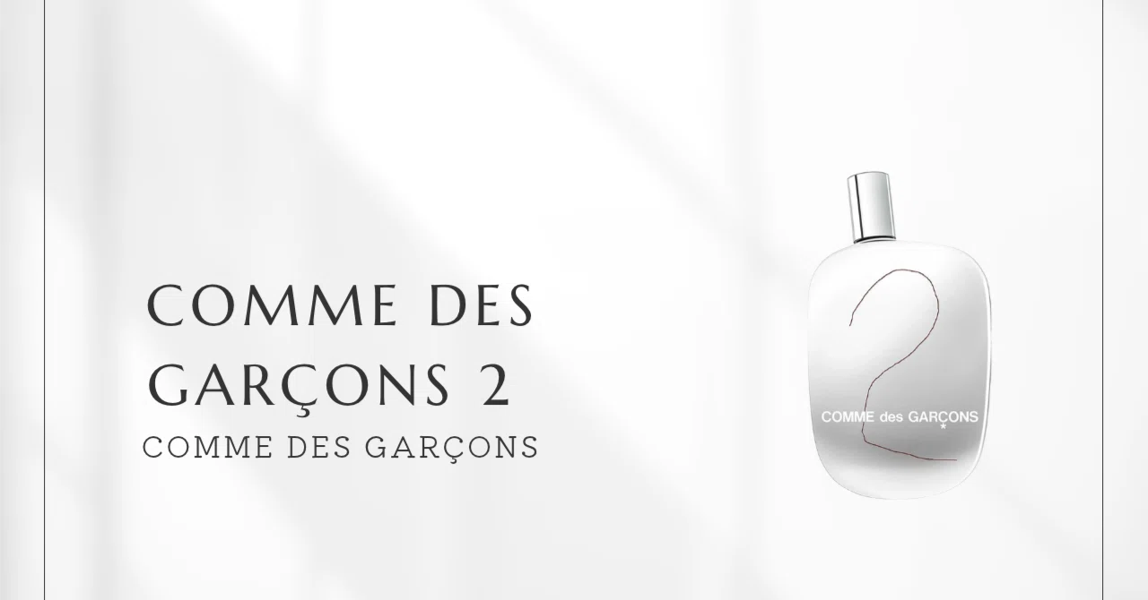 Comme des Garçons 2 (Comme des Garçons) | Light and Shadow