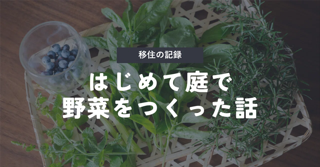 The story of growing vegetables in my garden for the first time after ...