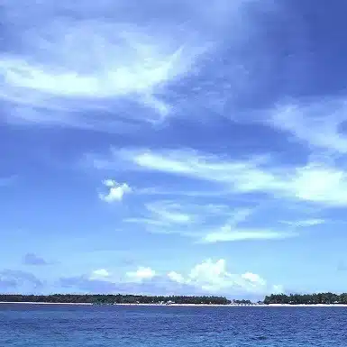 山本智史