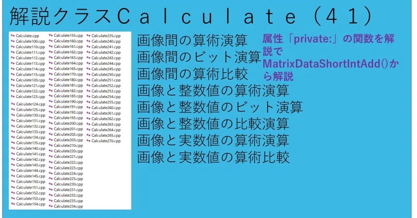 Void Jpg File Explanation Class Calculate (41)|解説者岡﨑