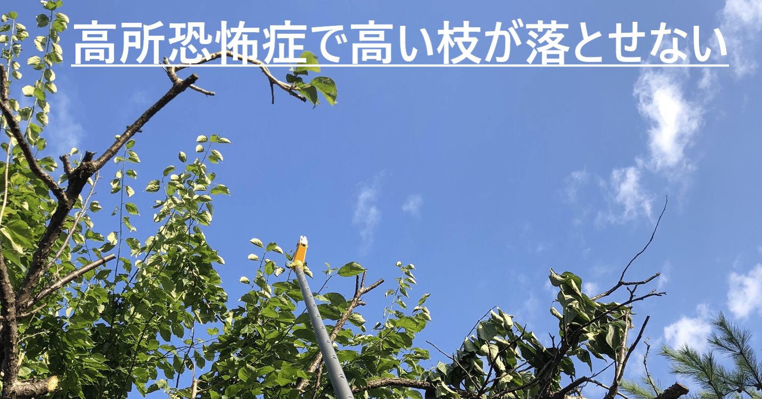 33 高所恐怖症で枝打ちの方法に悩む Kenta5 Note