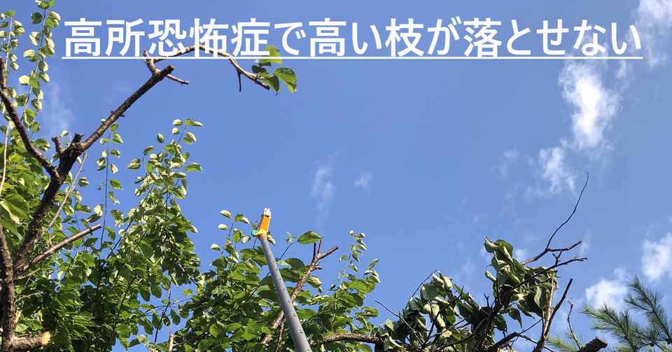 33 高所恐怖症で枝打ちの方法に悩む Kenta5 Note