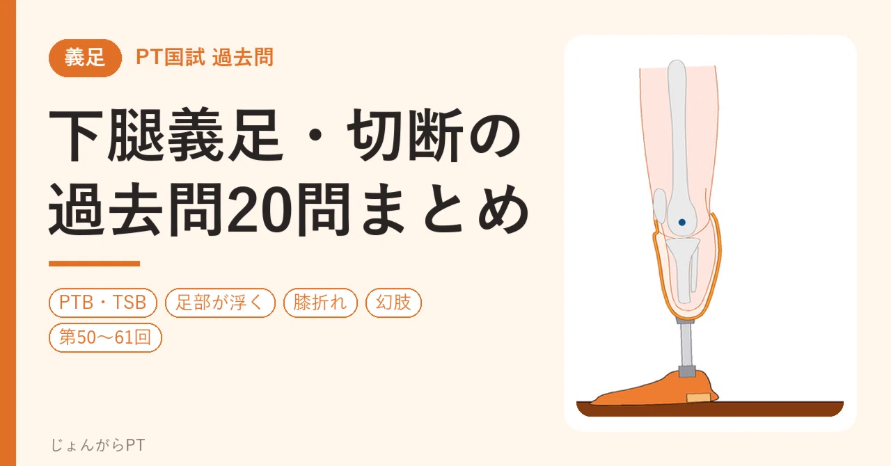 下腿義足・切断の過去問20問まとめ｜PTB・TSB・ライナー・足部が浮く
