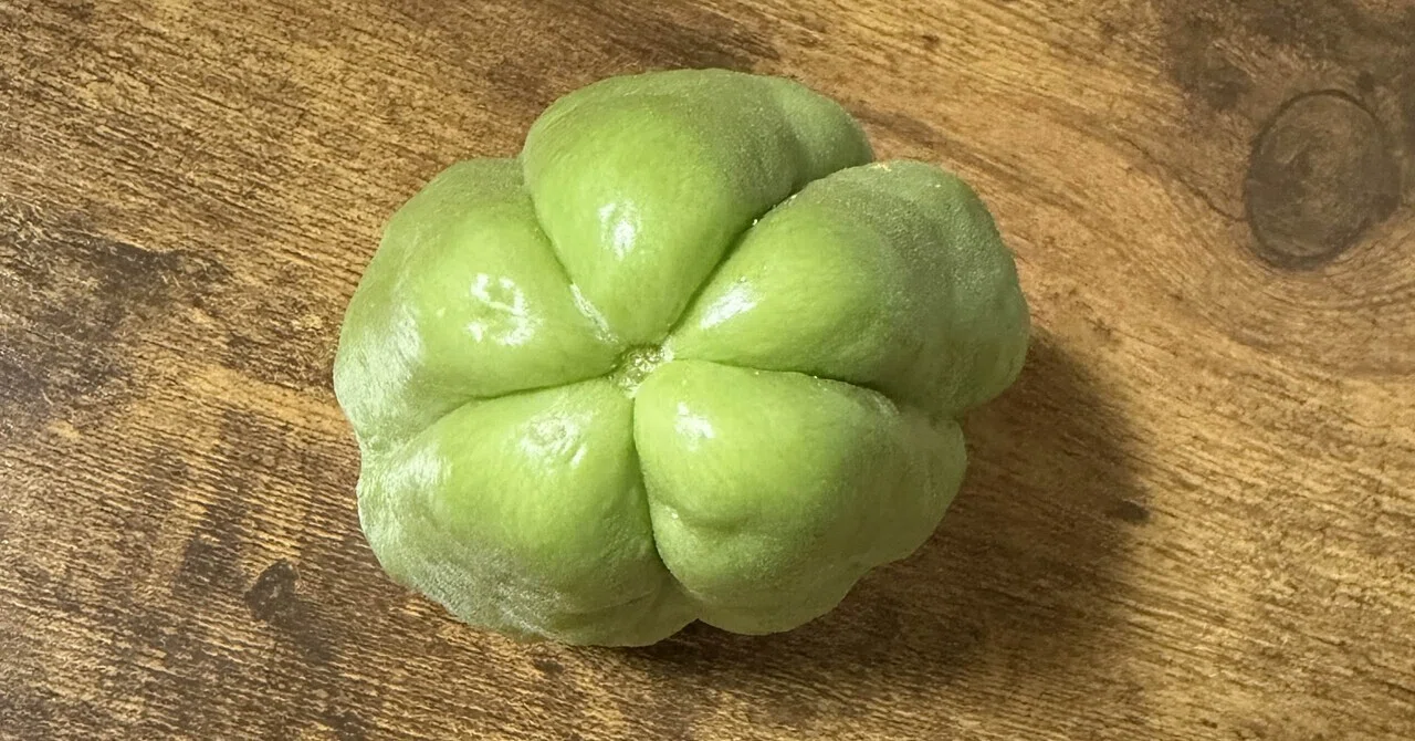 Chayote in the Castle Garden｜Lily