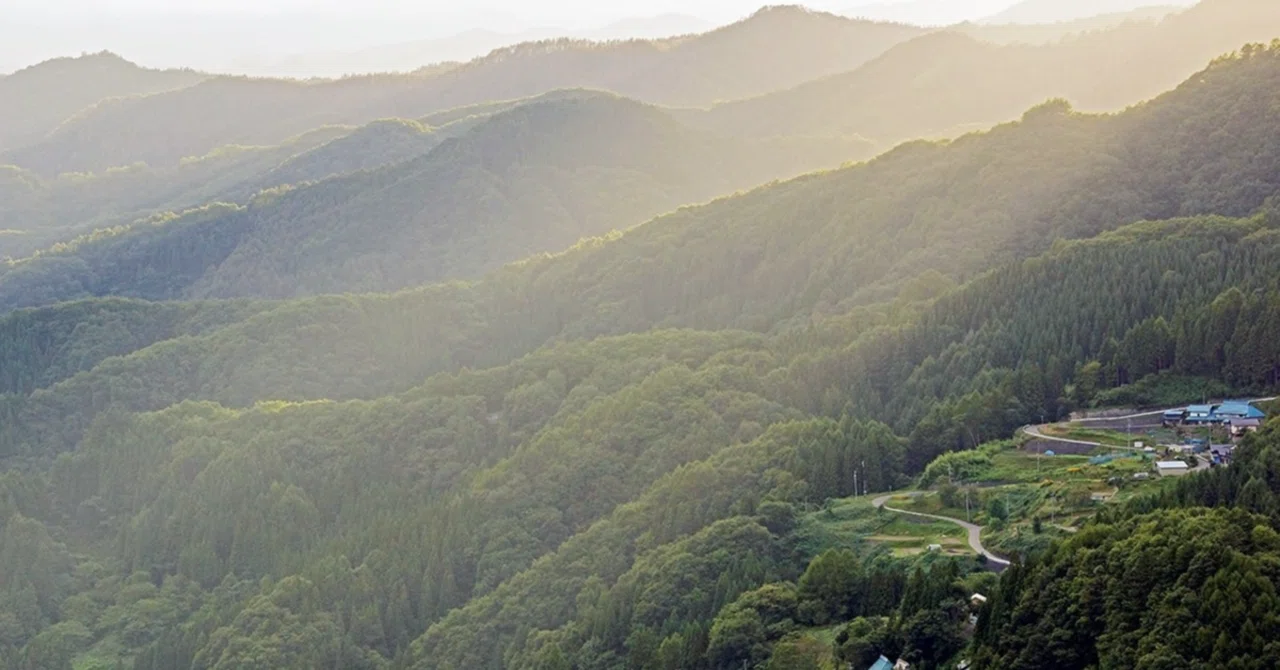 Morning I Ching 5: Dare to Pause - Gen Wei Shan, Second Line｜昌帆｜経営・仕事 ...