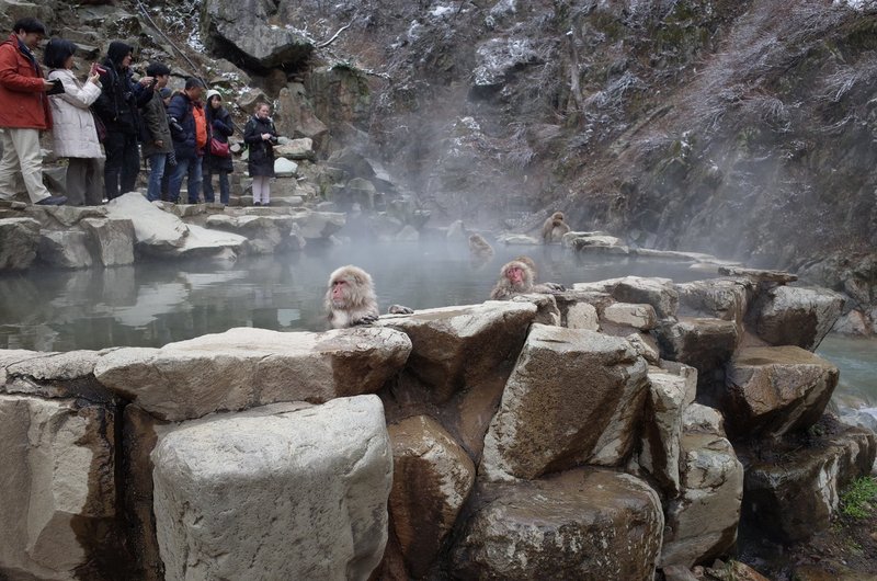 おすすめ見所 地獄谷温泉 善光寺 戸隠 マルーター チャリ旅記録作成中 Note