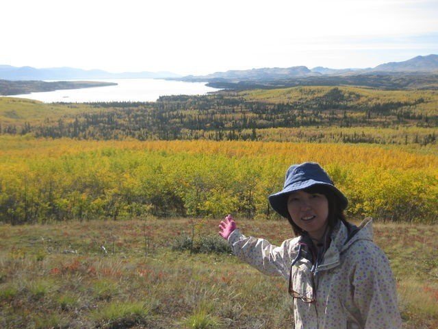 息子と行きたいカナダ ユーコン川をカヌーで160km下る旅 中村隊長 Note 息子と行きたいカナダ ユーコン川をカヌーで160km下る旅 中村隊長 Note