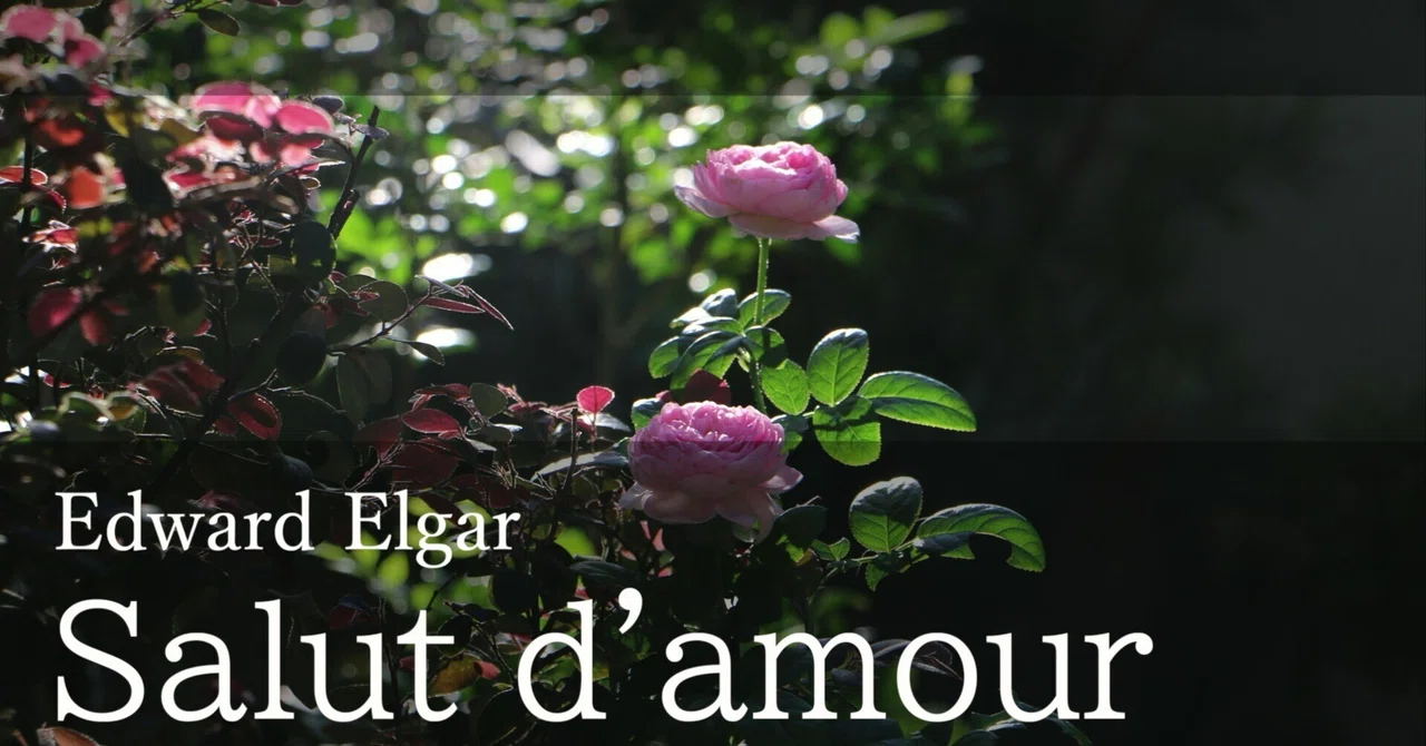 [12 Transposed Versions] Salut d'amour / Sheet Music and Accompaniment ...