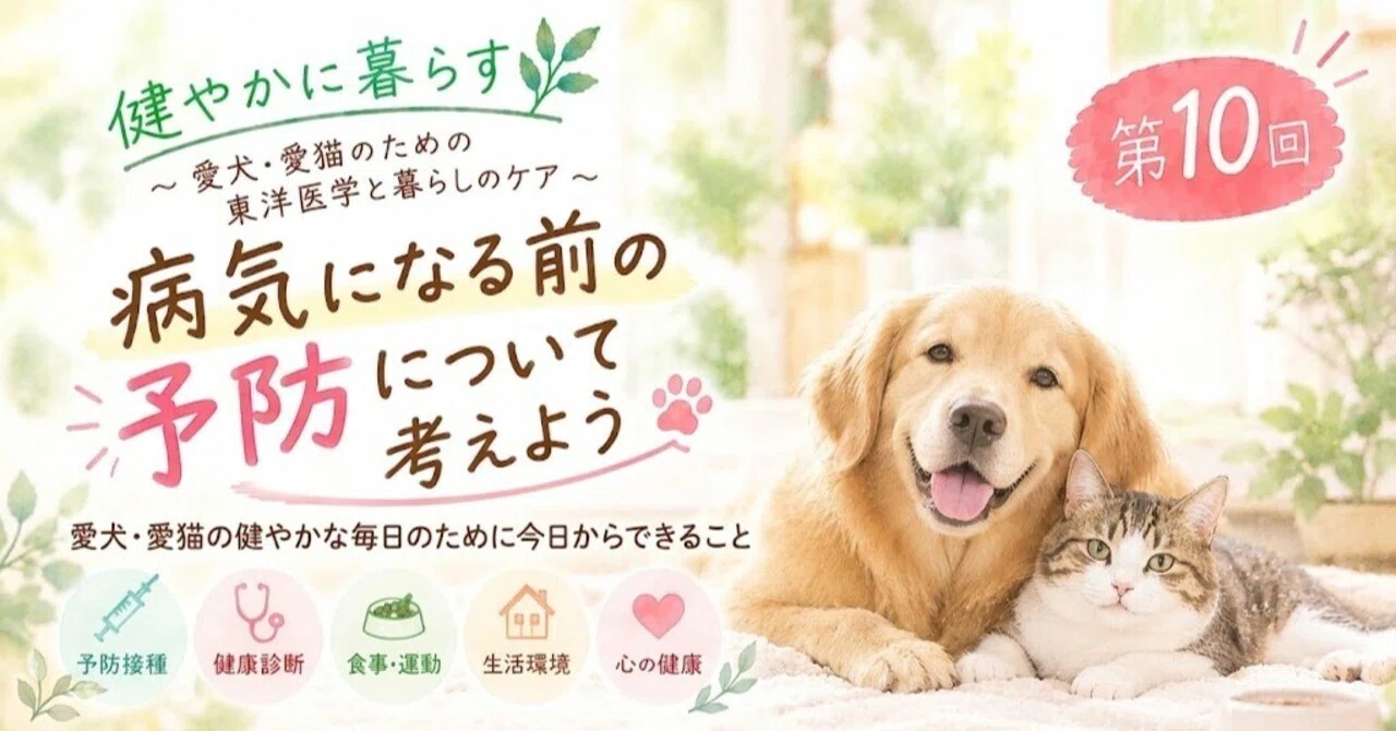 Part 10: Let's Think About Prevention Before Getting Sick｜小山典絵｜中獣医漢方アロマ ...